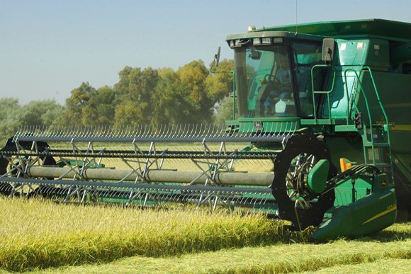 Media gallery | Merlo Farming Group